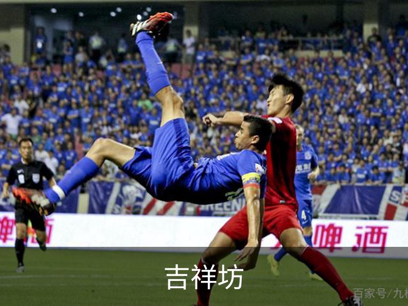 企业简介